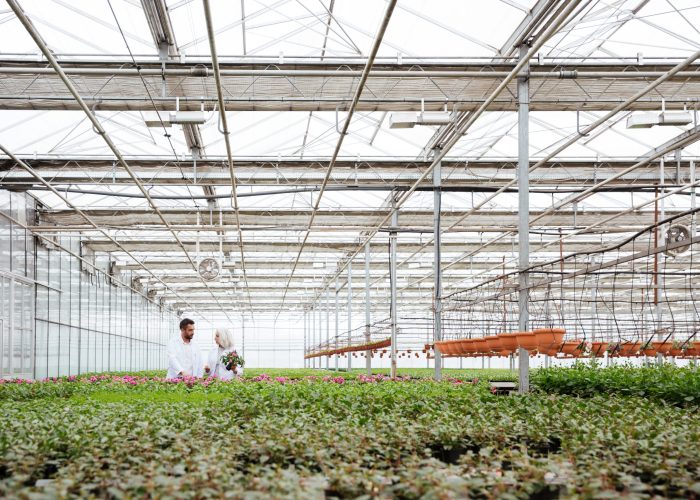 Man and woman in robes talking while working with plants in greenery